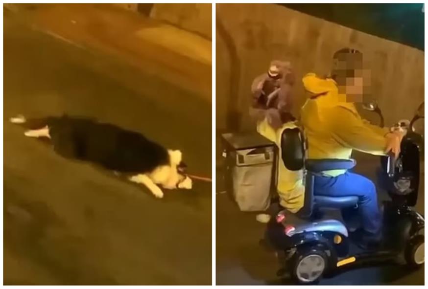 Σάλος στη Βρετανία για βίντεο που δείχνει γυναίκα να σέρνει σκύλο με το αμαξίδιό της