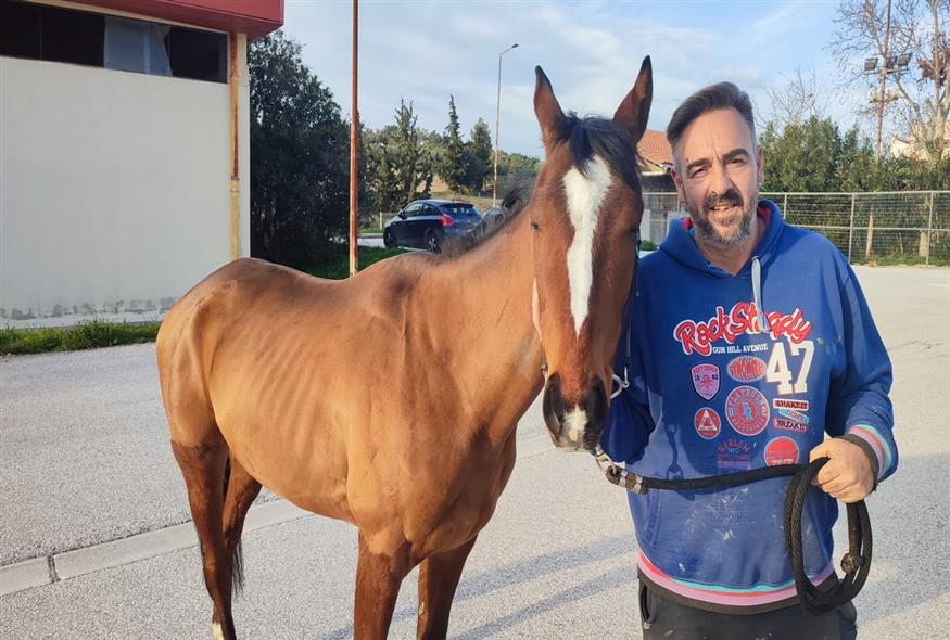 O Παναγιώτης Ζορμπάς είναι πλακάς στο επάγγελμα και μετά το μεροκάματο πηγαίνει στο Μαρκόπουλο και φροντίζει το άλογο του / φωτό Κώστας Ασημακόπουλος για το ethnos.gr