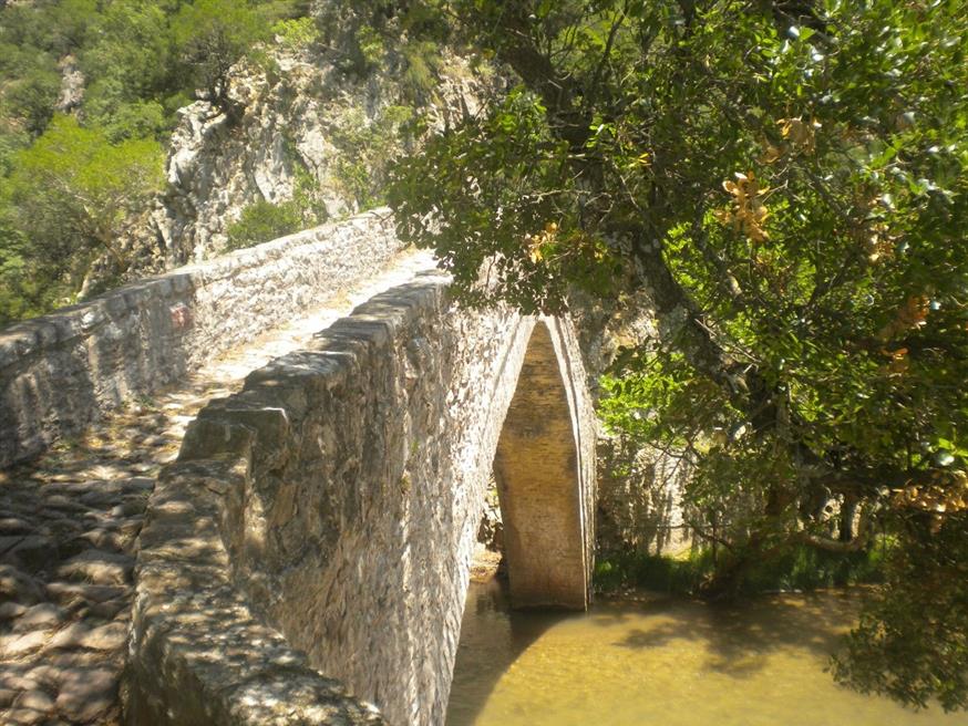 Εκεί που σμίγουν δυο ποτάμια και αδελφώνουν τα νερά, ένα γεφύρι πέτρινο απλώνει τ’ άσπρα του φτερά... Το πέτρινο γεφύρι της Παλιάς Βίνιανης