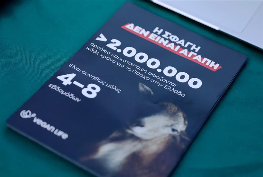 Εικόνα από το υλικό που διαμοίραζαν (INTIME NEWS / ΜΗΤΡΟΥΣΙΑΣ ΝΙΚΟΣ)