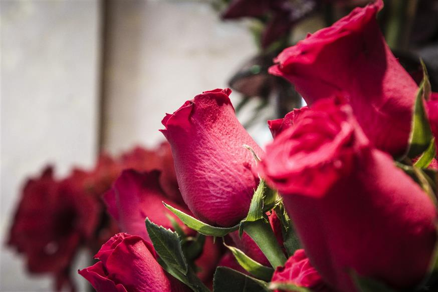 Κόκκινα τριαντάφυλλα/Eurokinissi