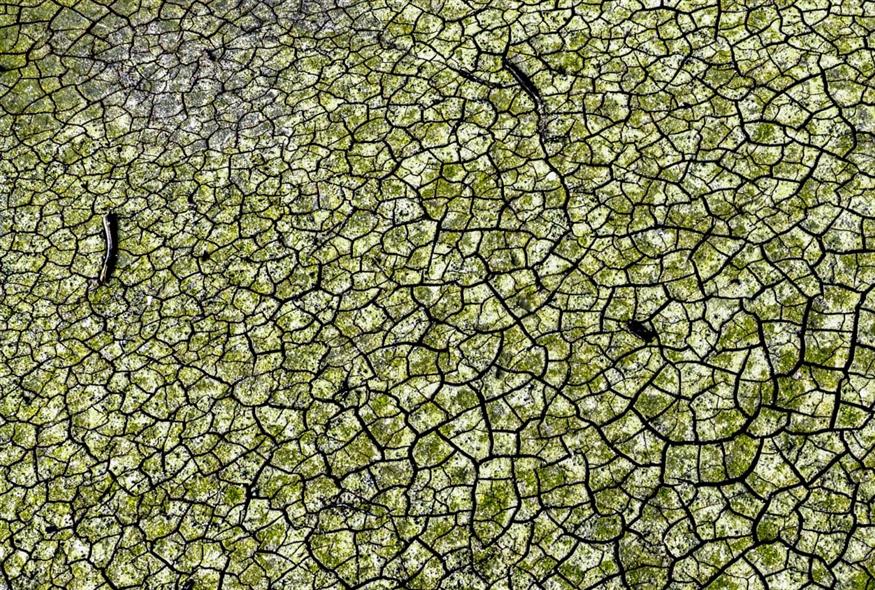 Λίμνη Μόρνου (ΑΝΤΩΝΗΣ ΝΙΚΟΛΟΠΟΥΛΟΣ/EUROKINISSI) Λίμνη Μόρνου (ΑΝΤΩΝΗΣ ΝΙΚΟΛΟΠΟΥΛΟΣ/EUROKINISSI)