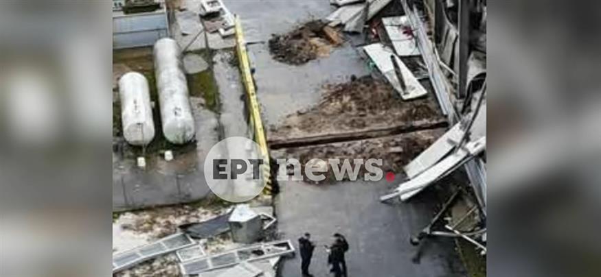 Ντοκουμέντα από τη Βιολάντα