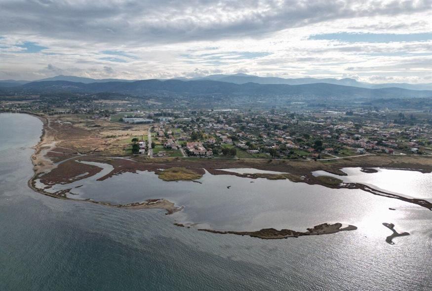 Ο υγρότοπος - υδροβιότοπος Σκάλας Ωρωπού - Φωτογραφία Κώστας Ασημακόπουλος ethnos.gr Ο υγρότοπος - υδροβιότοπος Σκάλας Ωρωπού - Φωτογραφία Κώστας Ασημακόπουλος ethnos.gr