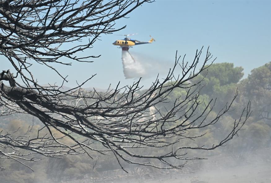 Φωτιά στο Κορωπί (gallery)