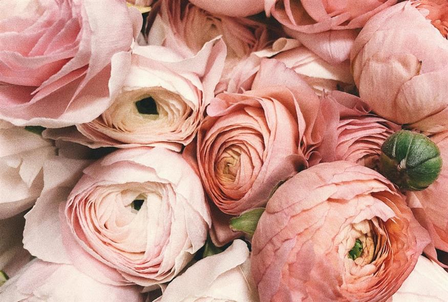 Λουλούδια/pexels