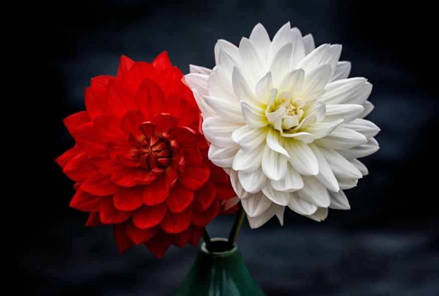 Εορτολόγιο/pexels