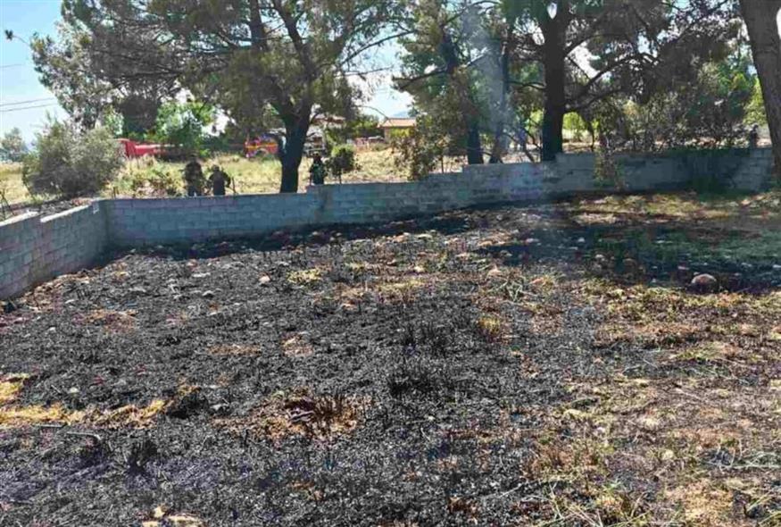 Κρυονέρι, εικόνα από το σημείο