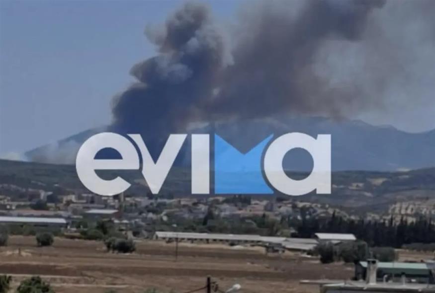 Φωτιά στην Εύβοια