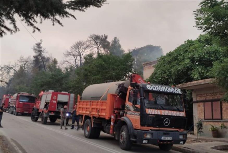 Φωτιά στην Ηλεία: Σοβαρές ζημιές στο σπίτι του Τζόρτζεβιτς (patrisnews.com)