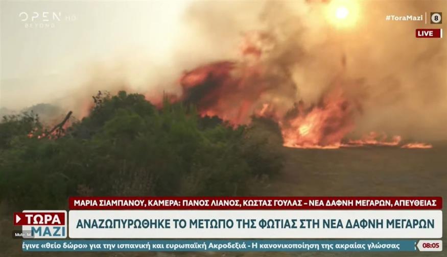 Νέα Δάφνη - αναζωπύρωση