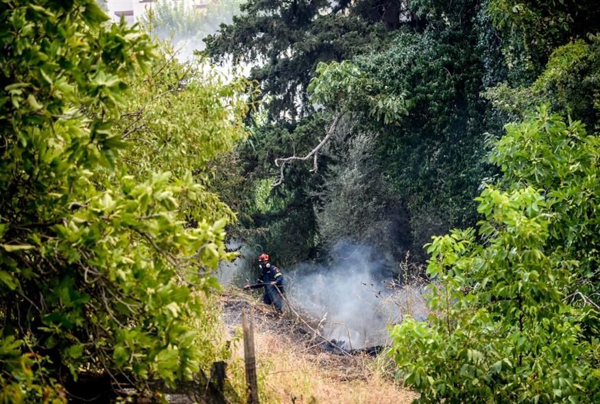 Συναγερμός για πολύ υψηλό κίνδυνο πυρκαγιάς (EUROKINISSI)