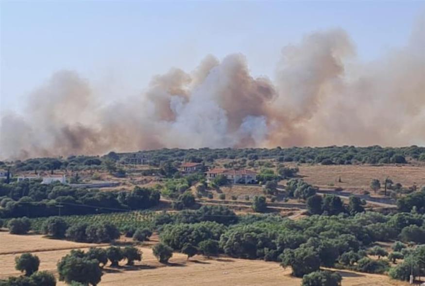 Φωτιά στην Κεφαλονιά/kefaloniapress