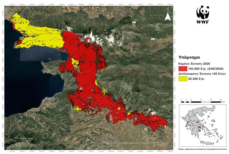 Καμένες εκτάσεις Καμένες εκτάσεις