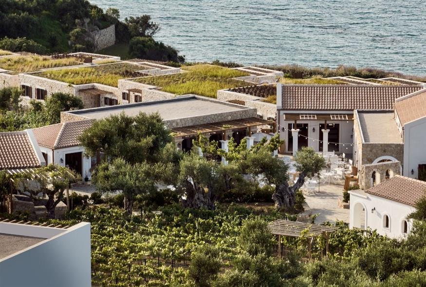 Στον αμπελώνα