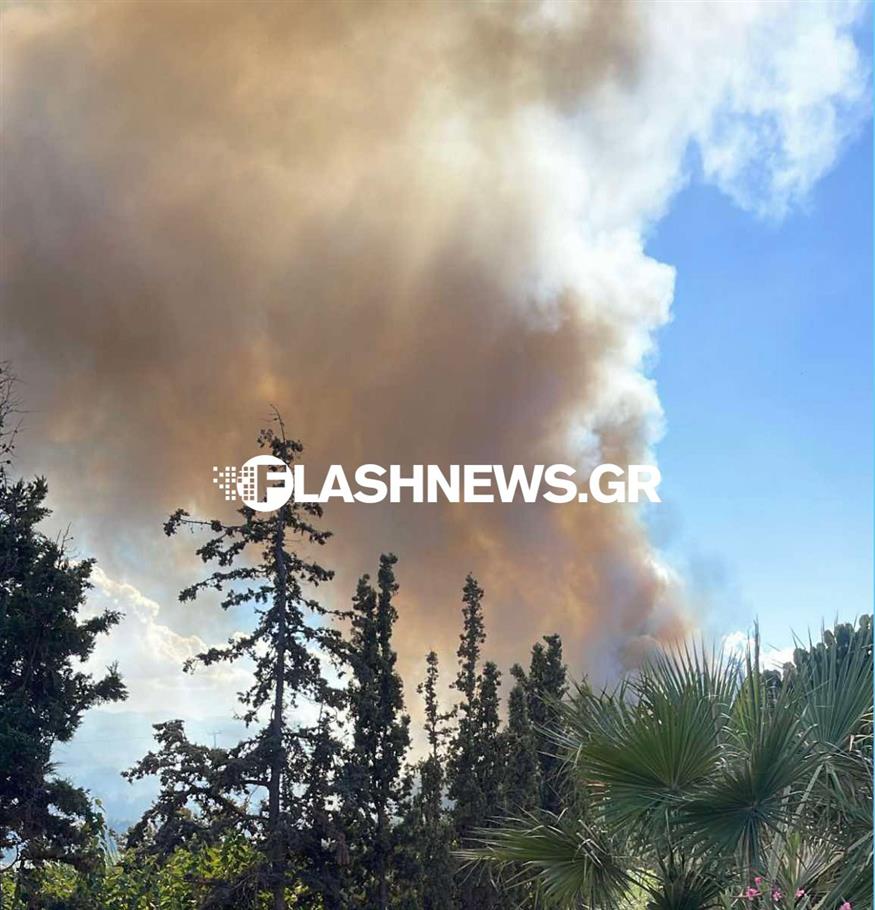 Φωτιά στον Πλατανιά/flashnews.gr