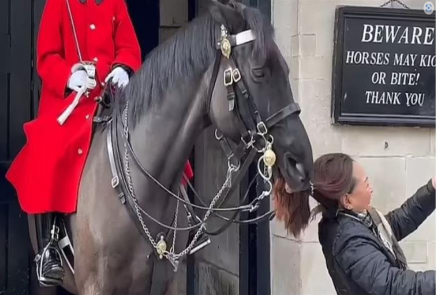Άλογο της βασιλικής φρουράς στη Βρετανία δάγκωσε την κοτσίδα τουρίστριας/video capture Daily Mail