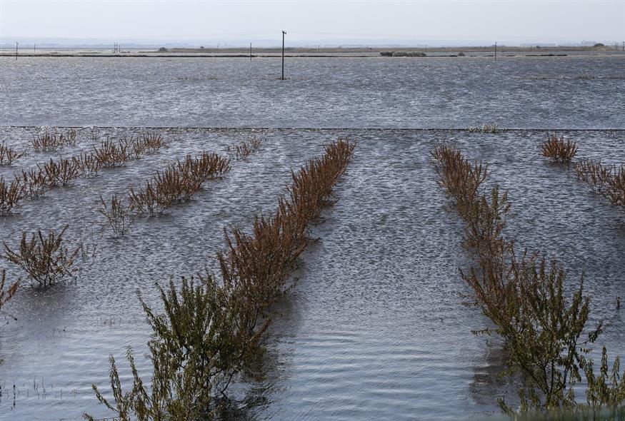 Πλημμύρες από την κακοκαιρία Daniel (ΛΕΩΝΙΔΑΣ ΤΖΕΚΑΣ/EUROKINISSI)