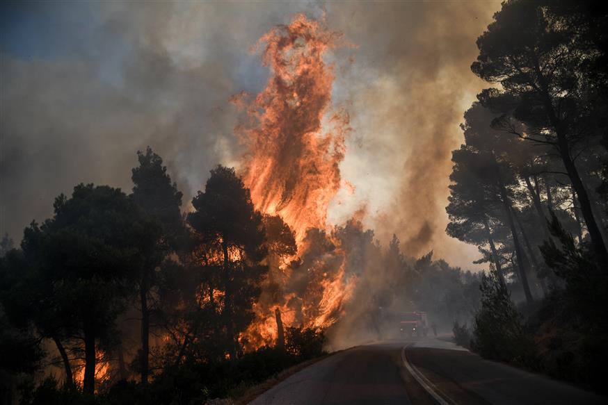 Ανεξέλεγκτη η φωτιά στο Δάσος της Δίρφυς (eurokinissi)
