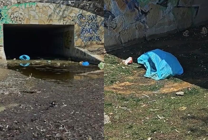 (screenshot/Orange Press)