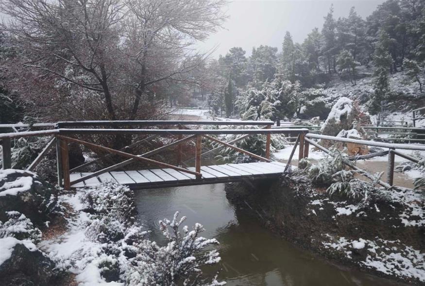 Στα λευκά η λίμνη Μπελέτσι στην Ιπποκράτειο Πολιτεία - Μοναδικές εικόνες (Κώστας Ασημακόπουλος/ethnos.gr)