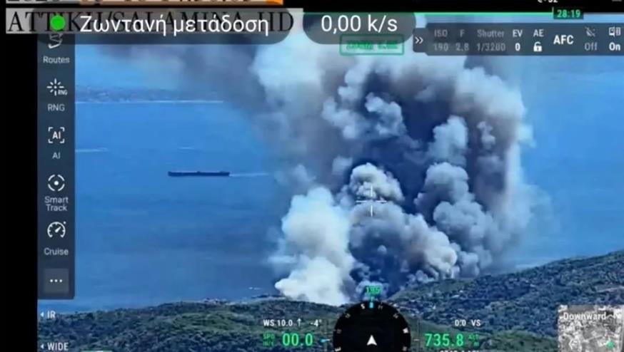 Σαλαμίνα - Η φωτιά «φούντωσε» μέσα σε 7 λεπτά Σαλαμίνα - Η φωτιά «φούντωσε» μέσα σε 7 λεπτά