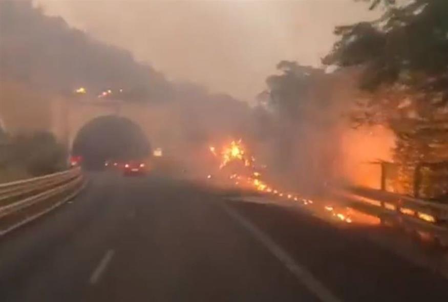 Σε πύρινο κλοιό και η Σικελία (Video Capture)