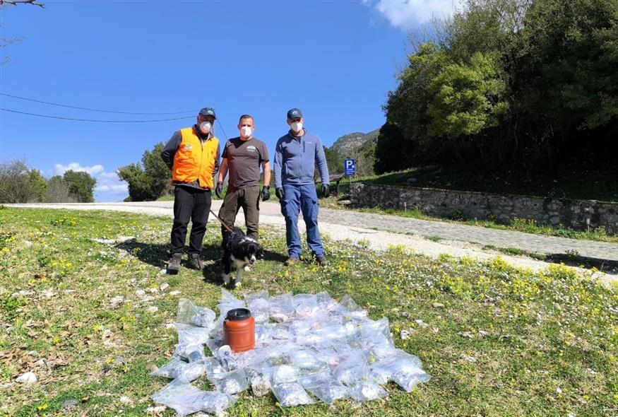 Δηλητηριασμένα δολώματα, από δηλητηριασμένες ψυχές Δηλητηριασμένα δολώματα, από δηλητηριασμένες ψυχές