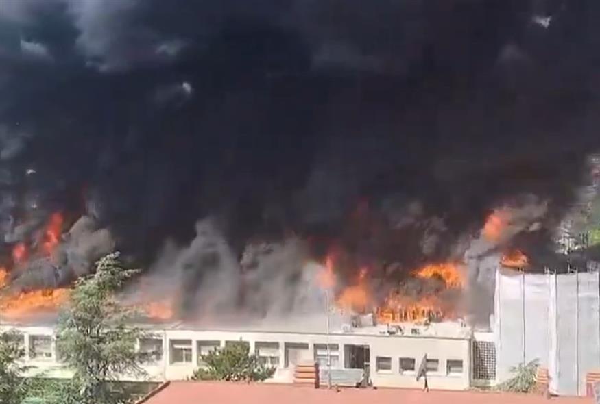 Φωτιά στο πανεπιστήμιο του Βιτέρμπο στην Ιταλία (Screenshot/X)