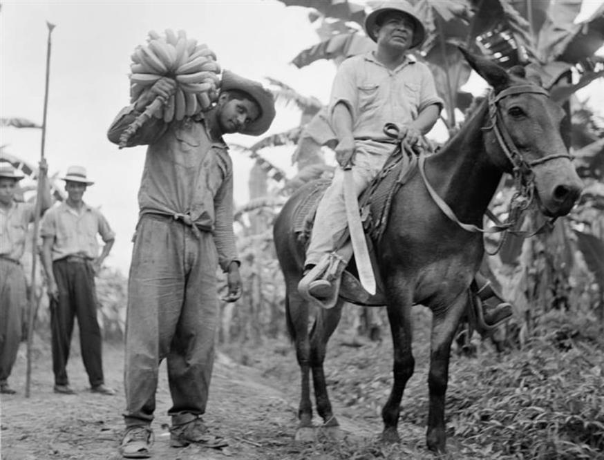 Στην Ονδούρα για μπανάνες...