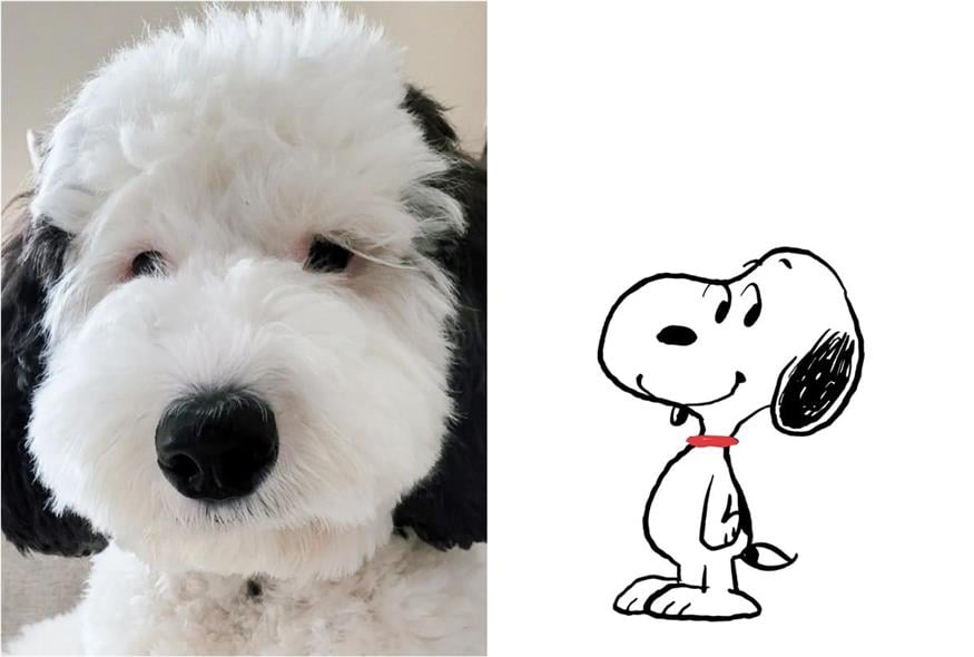 Η Bayley και ο Snoopy