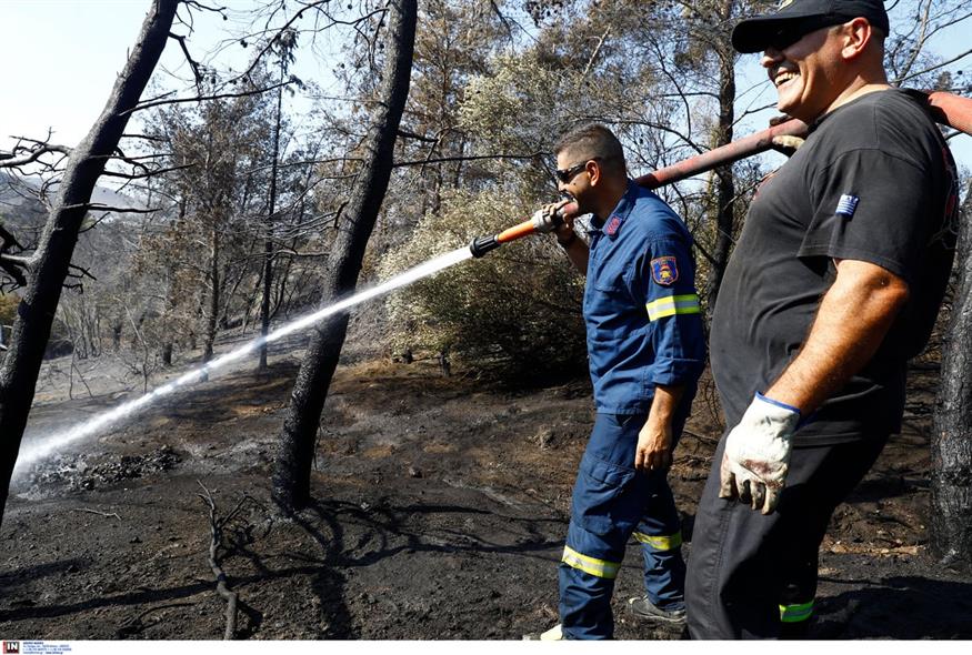 Φωτιά στην Ανατολική Αττική/ INTIME (GALLERY)