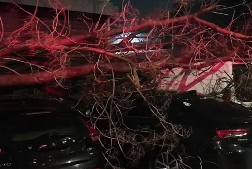 Προβλήματα από την κακοκαιρία Adel (Eurokinissi)