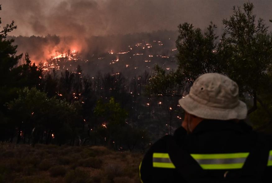 Πυροσβεστική: 62 αγροτοδασικές πυρκαγιές το τελευταίο 24ωρο (EUROKINISSI)