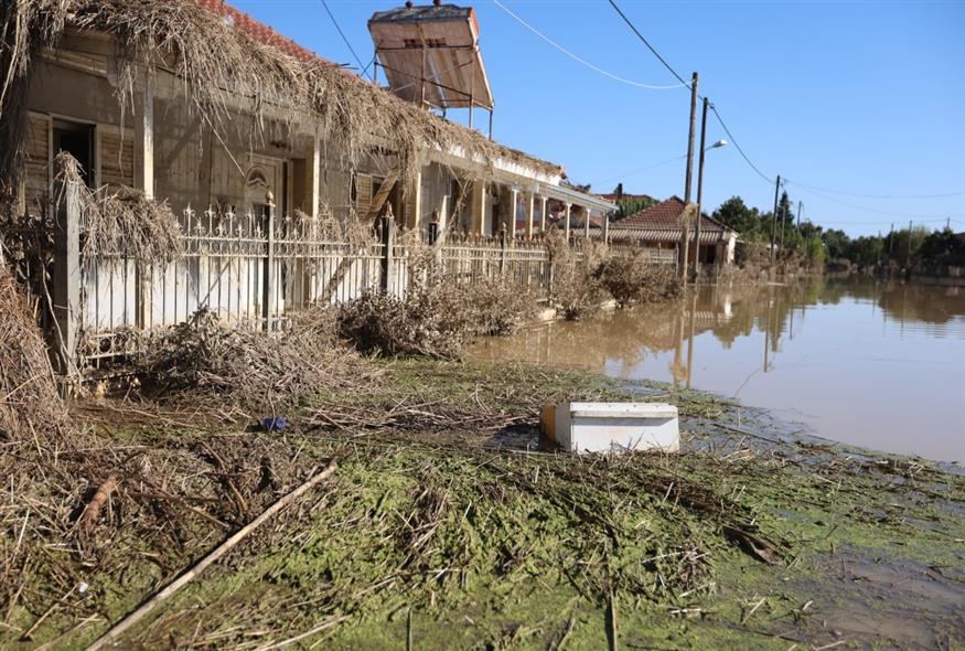 Μεταμόρφωση Καρδίτσας Μεταμόρφωση Καρδίτσας