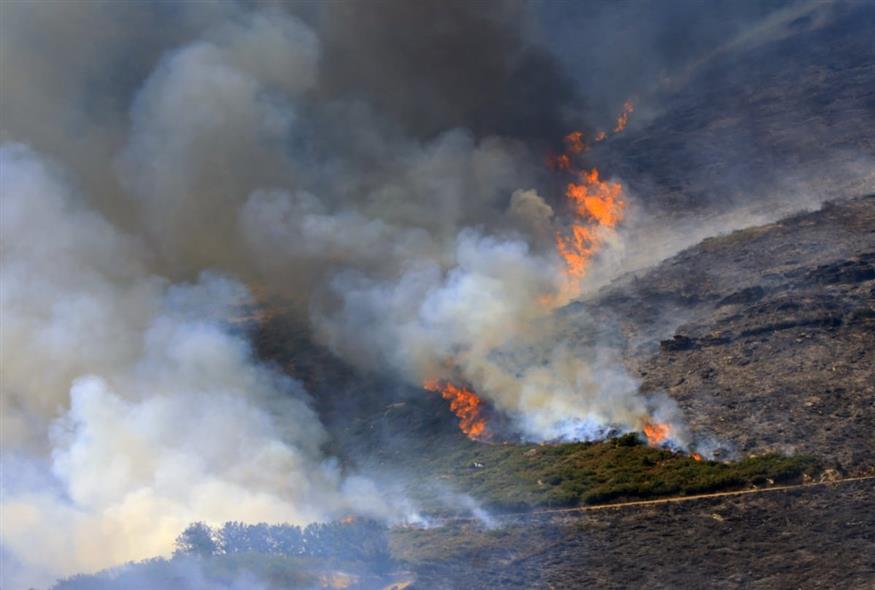 Φωτιά στη Λάρισα, στην περιοχή Βαθύρεμα (ΙΝΤΙΜΕ/ΚΥΔΩΝΑΣ ΓΙΩΡΓΟΣ)