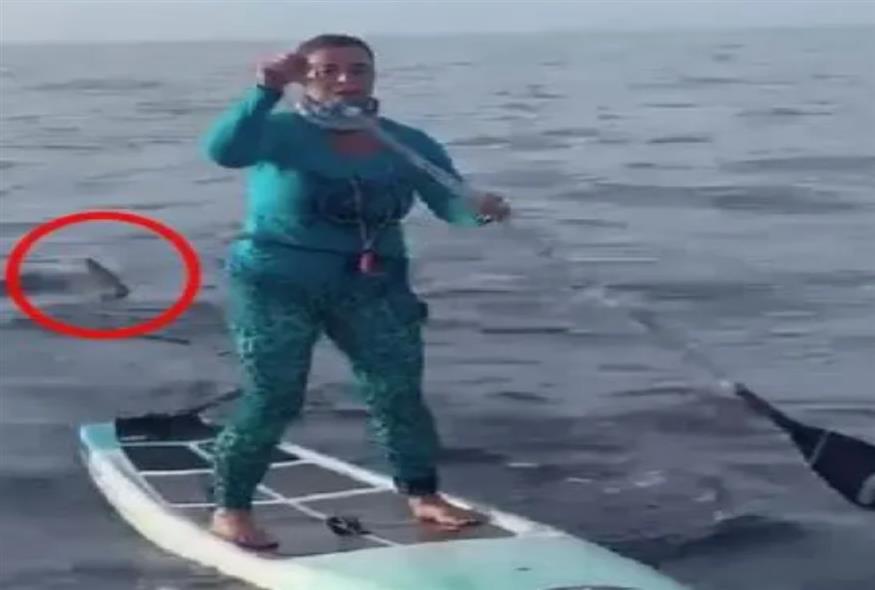 Καρχαρίας ακολούθησε γυναίκα που έκανε SUP στη Φλόριντα/instagram