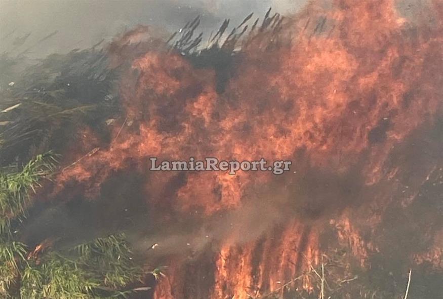 Φωτιά στον Ε65