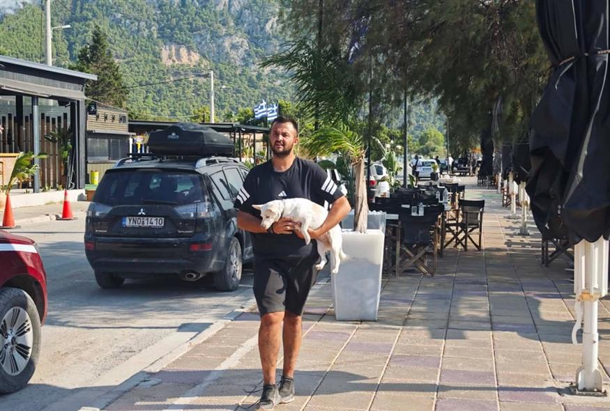 Φωτιά στη Ψάθα