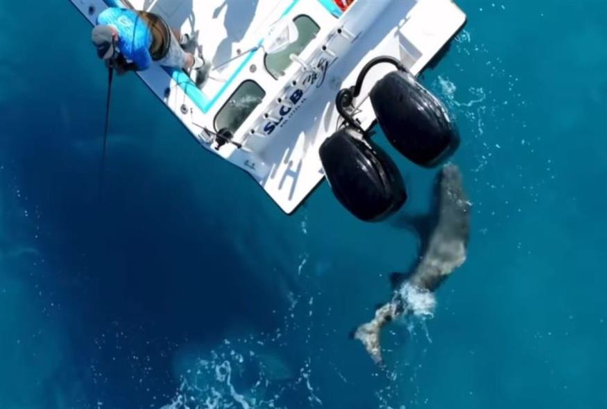Η στιγμή που ο καρχαρίας επιτίθεται στο αλιευτικό (Video Capture)