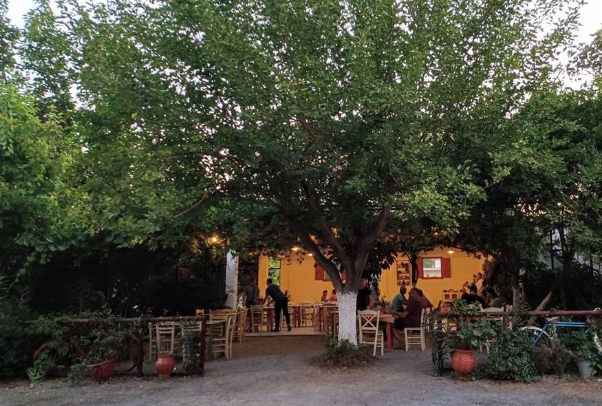 Η ταβέρνα της κυρά Μαρίας στο Βαθύ | © Χριστίνα Τσαμουρά Η ταβέρνα της κυρά Μαρίας στο Βαθύ | © Χριστίνα Τσαμουρά