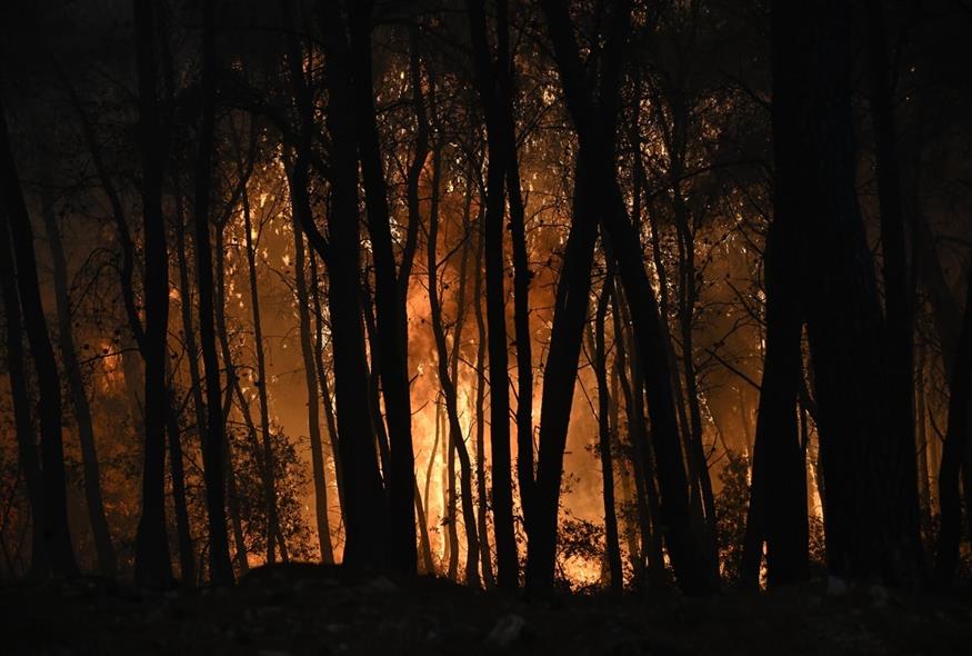 Οι καταστροφικές πυρκαγιές στα ελληνικά νησιά (AP) Οι καταστροφικές πυρκαγιές στα ελληνικά νησιά (AP)