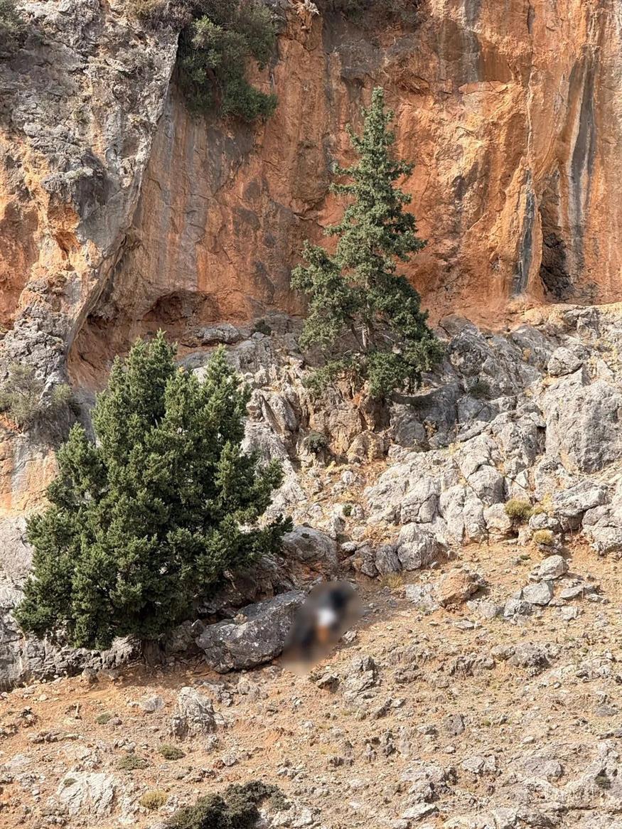 Όπλα που βρέθηκαν σε σπηλιά στα Βορίζια