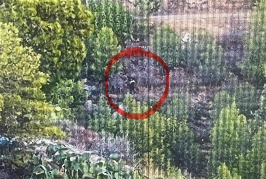 Ο δράστης της επίθεσης κατά ανήλικης στο Αιγάλεω είχε βάλει και φωτιά στον Υμηττό - Τα ντοκουμέντα που τον «καίνε»