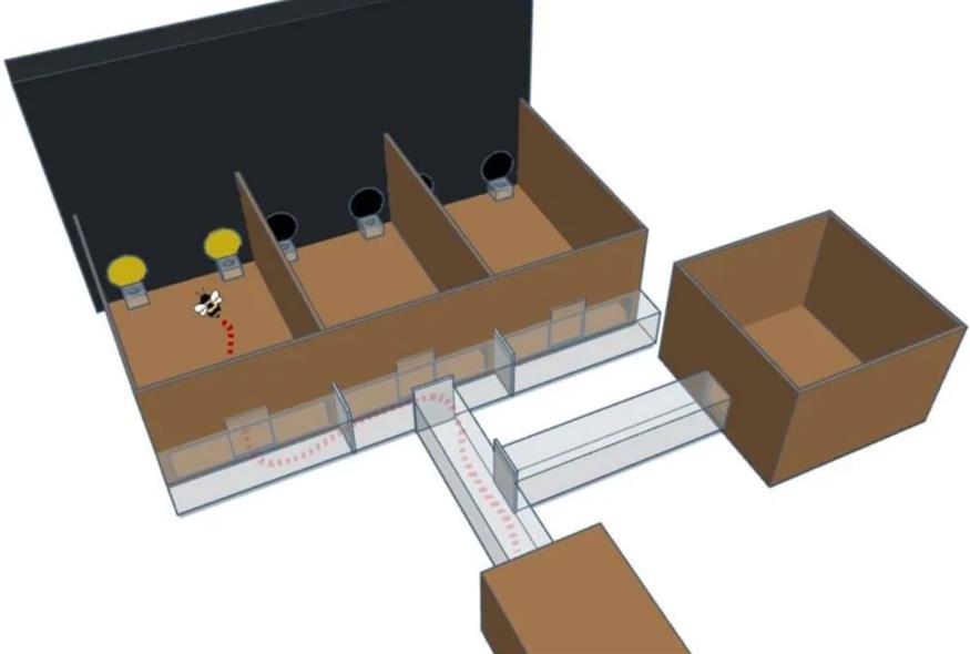 Μια τρισδιάστατη αναπαράσταση του μηχανισμού που χρησιμοποιήθηκε στη μελέτη (royalsocietypublishing.org)