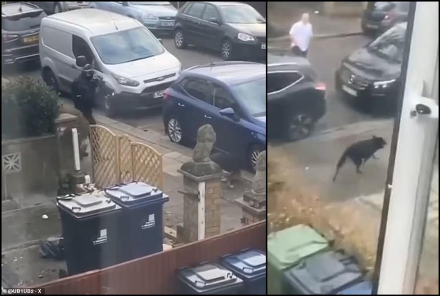 Αστυνομικοί στο Λονδίνο σκότωσαν εν ψυχρώ σκύλο που τραυμάτισε θανάσιμα άλλον σκύλο (Screenshots)