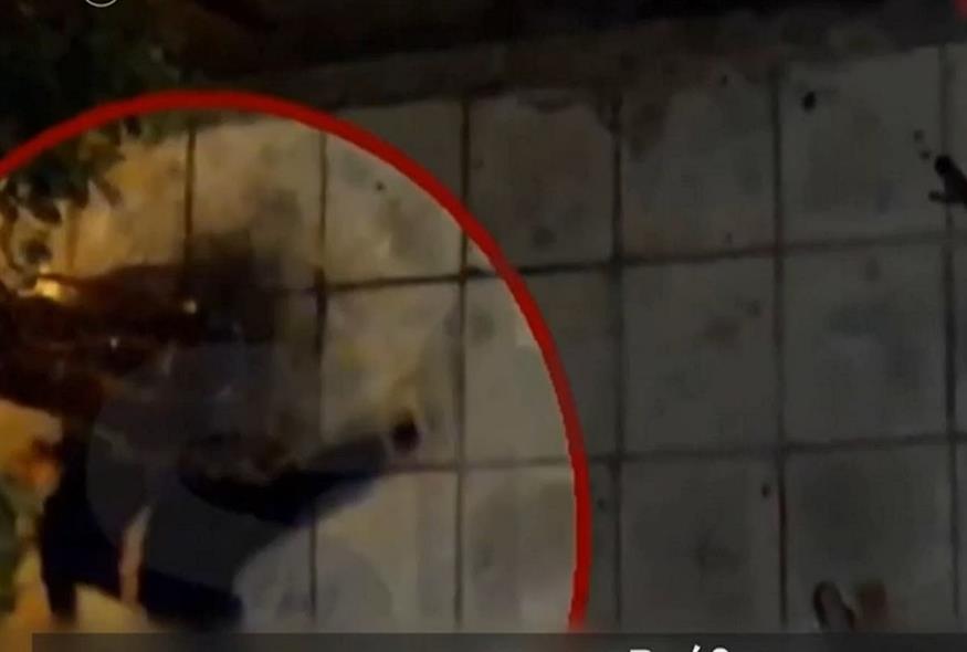 Βίντεο - ντοκουμέντο από την επίθεση εις βάρος της 20χρονης στη Νίκαια (Star/Screenshot)