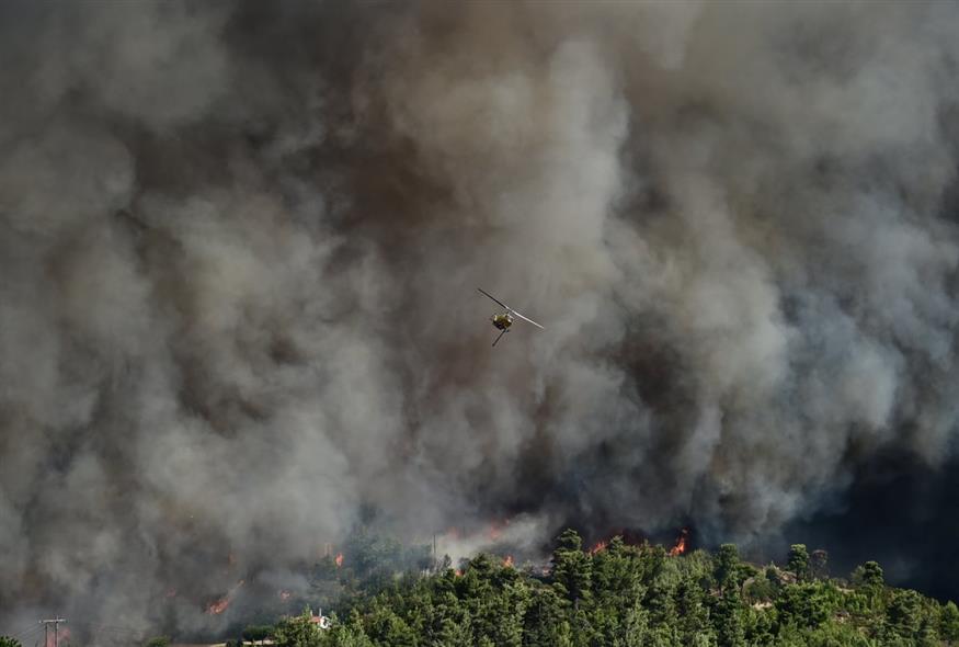 Φωτιά στον Βαρνάβα (EUROKINISSI) gallery