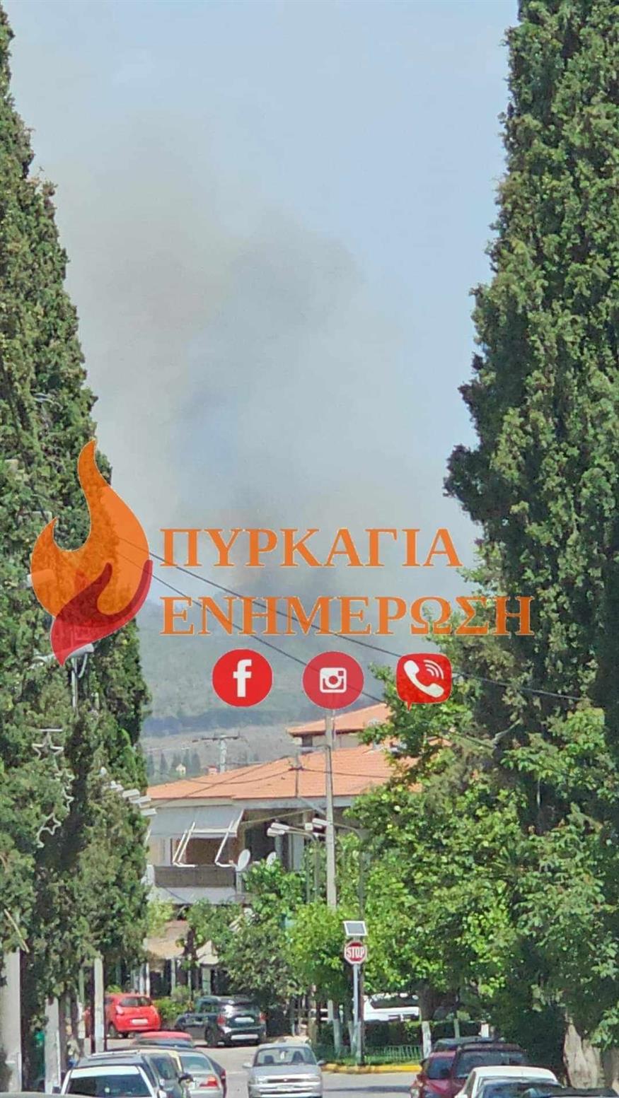 Φωτιά στις Αφίδνες/ Facebook