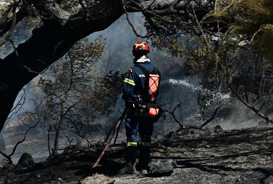 (ΚΩΣΤΑΣ ΤΖΟΥΜΑΣ/EUROKINISSI)